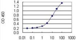 DGK-epsilon Antibody (7E1), Novus Biologicals 0.1 mg | Buy Online | Novus Biologicals | Fisher Scientific