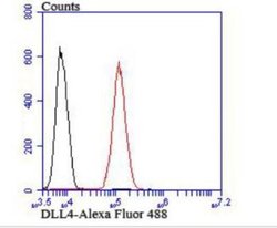 DLL4 Rabbit anti-Human, Rat, Polyclonal, Novus Biologicals 100 &mu;g; Unconjugated:Antibodies,