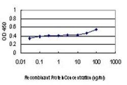 DLX2 Antibody (2H2), Novus Biologicals 0.1 mg | Buy Online | Novus Biologicals | Fisher Scientific