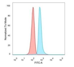 DMRT2 Mouse anti-Human, Clone: PCRP-DMRT2-1B11, Novus Biologicals 100 &mu;g;