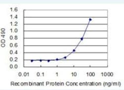 DNAI1 Antibody Pair, Novus Biologicals™