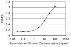 DNAJB4 Antibody (S13), Novus Biologicals 0.1 mg | Buy Online | Novus Biologicals | Fisher Scientific