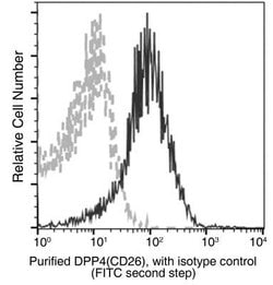 DPPIV/CD26 Rabbit anti-Mouse, Clone: 7, Novus Biologicals:Antibodies:Primary