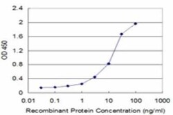 DRAK1 Antibody (3G8), Novus Biologicals 0.1 mg | Buy Online | Novus Biologicals | Fisher Scientific