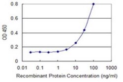 DSN1 Antibody (2A7), Novus Biologicals 0.1 mg; Unconjugated:Antibodies,