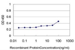 DUSP14 Antibody (4B5-E6), Novus Biologicals 0.1 mg | Buy Online | Novus Biologicals | Fisher Scientific