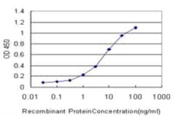 DUSP5 Antibody (4C8), Novus Biologicals 0.1 mg, Unconjugated:Antibodies,
