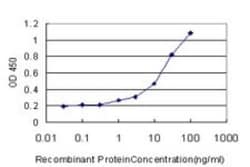 DcR3/TNFRSF6B Antibody (7G5), Novus Biologicals 0.1 mg, Unconjugated:Antibodies,