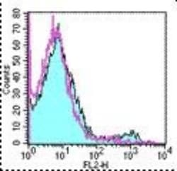 Dendritic Cell Marker Antibody (33D1) - BSA Free, Novus Biologicals:Antibodies:Primary