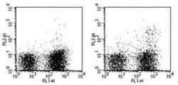Dendritic Cell Marker Antibody (33D1) - BSA Free, Novus Biologicals:Antibodies:Primary