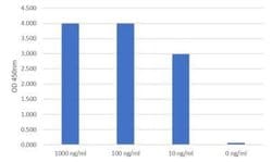 Dengue Virus 2 NS1 Mouse anti-Virus, Clone: LH5.H7.B12.D7, Novus Biologicals 0.5 mg | Buy Online | Novus Biologicals | Fisher Scientific