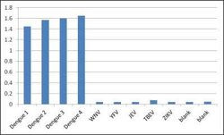 Dengue Virus NS1 Mouse anti-Virus, Clone: DA034, Novus Biologicals 0.5 mg | Buy Online | Novus Biologicals | Fisher Scientific
