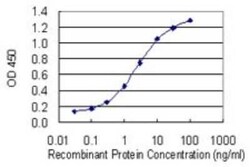 Deoxycytidylate deaminase Antibody (4B9), Novus Biologicals 0.1 mg | Buy Online | Novus Biologicals | Fisher Scientific