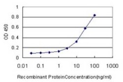 Deoxyribonuclease I like 1 Antibody (4E8), Novus Biologicals 0.1 mg | Buy Online | Novus Biologicals | Fisher Scientific