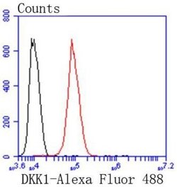 Dkk-1 Rabbit anti-Human, Clone: SC06-86, Novus Biologicals 100&mu;L:Antibodies,