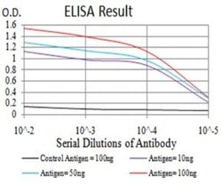 Dnmt3L Antibody (5H4A5) - BSA Free, Novus Biologicals:Antibodies:Primary