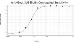 Donkey anti-Goat IgG (H+L) Secondary Antibody, Novus Biologicals 2mg:Antibodies,