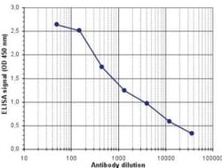 Dre recombinase Antibody, Novus Biologicals 100 &mu;g; Unconjugated:Antibodies,