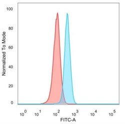 E2F6 Antibody (PCRP-E2F6-1F8) - Azide and BSA Free, Novus Biologicals 100