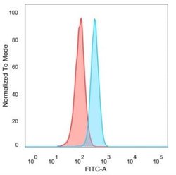 E2F6 Mouse anti-Human, Clone: PCRP-E2F6-1F8, Novus Biologicals:Antibodies:Primary
