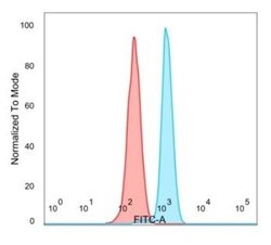 E4F1 Antibody (PCRP-E4F1-2D1) - Azide and BSA Free, Novus Biologicals 100 &mu;g | Buy Online | Novus Biologicals | Fisher Scientific