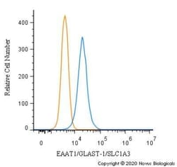 EAAT1/GLAST-1/SLC1A3 Antibody - BSA Free, Novus Biologicals:Antibodies:Primary