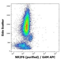 EAR2/NR2F6 Antibody (EM-51) - BSA Free, Novus Biologicals 0.1 mg | Buy Online | Novus Biologicals | Fisher Scientific