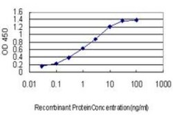 EBF-3 Antibody (8D6), Novus Biologicals 0.1 mg | Buy Online | Novus Biologicals | Fisher Scientific