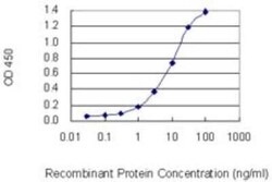 EDEM2 Antibody (2E4), Novus Biologicals 0.1 mg | Buy Online | Novus Biologicals | Fisher Scientific