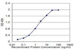 EEA1 Antibody (2G2), Novus Biologicals 0.1 mg | Buy Online | Novus Biologicals | Fisher Scientific
