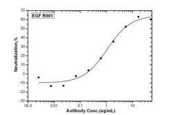 EGF Rabbit anti-Human, Clone: R001, Novus Biologicals 500 &mu;g; Unconjugated:Antibodies,