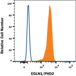 EGLN1/PHD2 Antibody (2445B) - BSA Free, Novus Biologicals EGLN1/PHD2 Antibody;