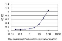 ELAVL4 Antibody (6B9), Novus Biologicals 0.1 mg | Buy Online | Novus Biologicals | Fisher Scientific