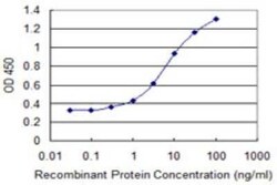 ELMO2 Antibody (3G7), Novus Biologicals 0.1 mg | Buy Online | Novus Biologicals | Fisher Scientific