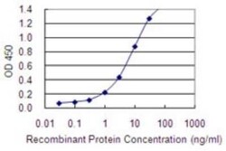 EML2 Antibody (2H6), Novus Biologicals 50 &mu;g | Buy Online | Novus Biologicals | Fisher Scientific