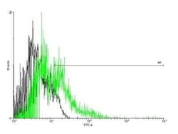 EMR1 Antibody, Novus Biologicals 0.05 mg | Buy Online | Novus Biologicals | Fisher Scientific