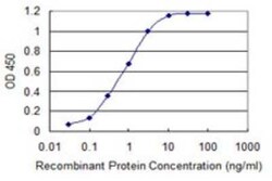 EPS8L2 Antibody (6C2), Novus Biologicals 0.1 mg; Unconjugated:Antibodies,