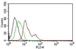 ER alpha/NR3A1 Antibody (ER506), Novus Biologicals:Antibodies:Primary Antibodies