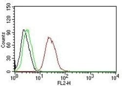ER beta/NR3A2 Antibody (ERb455), Novus Biologicals 0.1mg; Unlabeled:Antibodies,