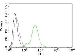 ER beta/NR3A2 Antibody (ERb455), Novus Biologicals 0.1mg; Unlabeled:Antibodies,