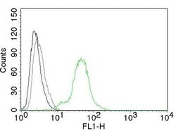 ER beta/NR3A2 Antibody (ESR2/686), Novus Biologicals 0.1mg; Unlabeled:Antibodies,