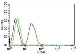 ER beta/NR3A2 Antibody (ESR2/686), Novus Biologicals 0.1mg; Unlabeled:Antibodies,
