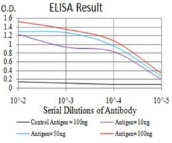 ERR alpha/NR3B1 Antibody (6F1E6) - BSA Free, Novus Biologicals 0.1 ml;