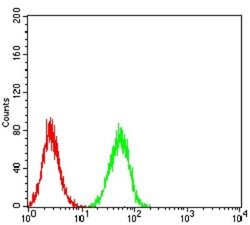 ERR alpha/NR3B1 Antibody (6F1E6) - BSA Free, Novus Biologicals 0.1 ml;