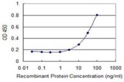 ETFA Antibody (2A5), Novus Biologicals 0.1 mg | Buy Online | Novus Biologicals | Fisher Scientific