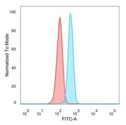 ETS2 Mouse anti-Human, Clone: PCRP-ETS2-1D9, Novus Biologicals:Antibodies:Primary