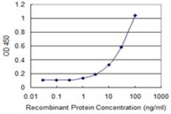 EVA1/MPZL2 Antibody (2E10), Novus Biologicals 0.1 mg | Buy Online | Novus Biologicals | Fisher Scientific