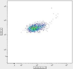 Elastase Antibody (CELA3B/1811), Novus Biologicals 20&mu;g; Unlabeled:Antibodies,