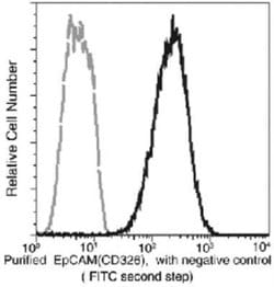 EpCAM/TROP1 Rabbit anti-Human, Clone: 28, Novus Biologicals:Antibodies:Primary