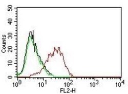 EpCAM/TROP1 Antibody (EGP40/837) - (ECD), Novus Biologicals 0.02mg; Unlabeled:Antibodies,